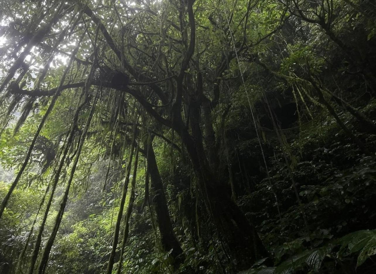 Opik Homestay Tete Batu 特特巴图 外观 照片
